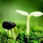 10 cách đem lại sức sống cho Giáo hội Công giáo