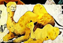 Bài Học Từ Hai Mẹ Con Lạc Đà