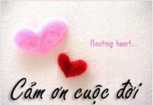 Những điều đáng nhớ trong cuộc sống