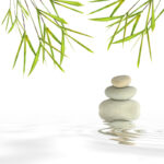 Lạy Chúa, Con Đây! (43)