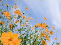 Phép lạ của lời nói dịu dàng