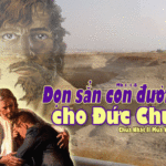 Chúa nhật thứ II mùa vọng B – 2011