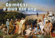 Chúa Nhật Thứ 3 Mùa Vọng Năm B – 2011.