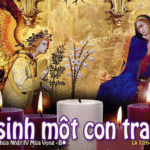 Chúa Nhật Thứ Tư Mùa Vọng Năm B 2011