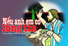 Chúa Nhật 27 Thường Niên Năm C