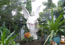 Trung tâm Khiếm thị Nhật Hồng mừng bổn mạng Thiên Thần Hộ Thủ