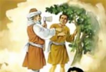 Tìm trái mà không thấy (Thứ Bảy Tuần 29 Thường niên)