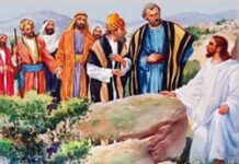 Hớn hở vui mừng (Thứ Bảy Tuần 26 Thường niên)
