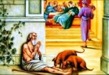 Mẩu bánh và giọt nước