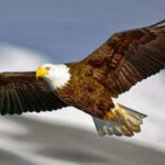 Nên giống Đức Kitô