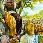 Người và nết (Chúa nhật XXXI TN, năm C)