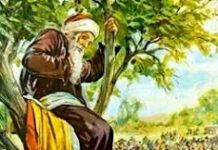 Người và nết (Chúa nhật XXXI TN, năm C)