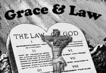 Thánh thiện và dễ thương