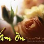 Cám Ơn (Chúa Nhật 28 Thường Niên_C)