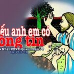 Hãy bật rễ lên (Chúa nhật 27 thường niên C)