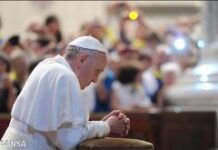 Đức Thánh Cha đề cao Thông điệp ”Hòa bình dưới thế”