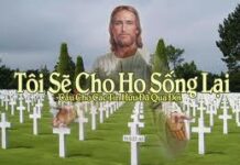 Lời nguyện giáo dân – Lễ cầu cho các tín hữu đã qua đời (02/11)