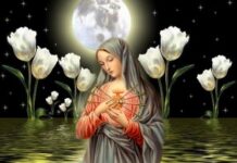 Hành Trình Đức Tin Của Đức Maria