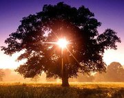 Đừng để những điều tầm thường làm bạn gục ngã