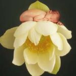 Ước nguyện của “bông hoa khuyết “
