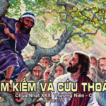 Chúa Nhật 31 Thường Niên Năm C