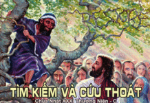 Chúa Nhật 31 Thường Niên Năm C
