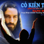 Chúa Nhật 33 Thường Niên Năm C