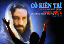 Chúa Nhật 33 Thường Niên Năm C