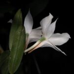 Nhận thức tâm linh