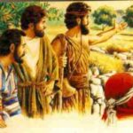 Xem cây vả (Thứ Sáu Tuần 34 Thường niên)