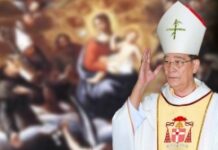 Tổng Giáo phận Sài Gòn: Lời Chủ Chăn Tháng 11/2013 – Sống mầu nhiệm các Thánh cùng thông công