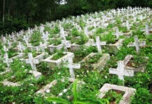 Không có gì giúp ta tìm hiểu ý nghĩa cuộc sống cho bằng cái chết