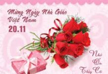 Mừng Hiến Chương Nhà Giáo 20-11-2013