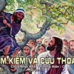 Con Người đến để tìm và cứu (Chúa nhật 31 Mùa Thường niên, năm C)