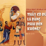 CÁC BÀI SUY NIỆM CHÚA NHẬT 3 MÙA VỌNG NĂM A