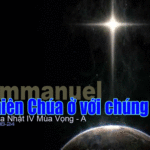 CÁC BÀI SUY NIỆM CHÚA NHẬT 4 MÙA VỌNG NĂM A