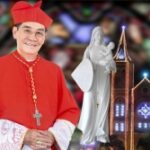 Lời cầu chúc Giáng Sinh của Đức Hồng y Gioan Baotixita Phạm Minh Mẫn