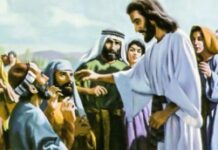Mắt họ liền mở ra (Thứ Sáu Tuần 1 Mùa Vọng)