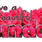 Giáo hội không phải là nơi trú ẩn cho người buồn bã, nhưng Giáo hội là nhà của niềm vui