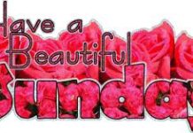 Giáo hội không phải là nơi trú ẩn cho người buồn bã, nhưng Giáo hội là nhà của niềm vui