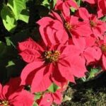 Phần thưởng xứng đáng