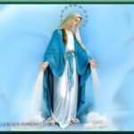 Vui học Thánh kinh – Lễ Đức Maria Vô Nhiễm Nguyên Tội