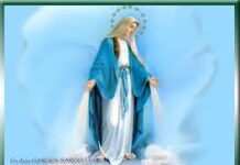 Vui học Thánh kinh – Lễ Đức Maria Vô Nhiễm Nguyên Tội