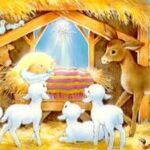 Cọng rơm ấm áp