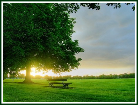 rest