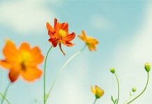 Đừng bao giờ than thở