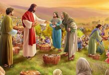 CÁC BÀI SUY NIỆM CHÚA NHẬT 18 THƯỜNG NIÊN. NĂM A