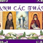 Hạnh các thánh 365 ngày