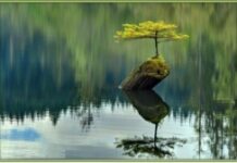 Ba Thứ Trong Đời Không Bao Giờ Nên Nuối Tiếc.