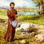 Hạt giống (Thứ Tư Tuần 3 Thường niên)